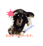 りんごちゃんち4（個別スタンプ：4）