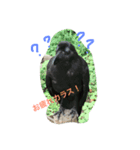 りんごちゃんち4（個別スタンプ：8）