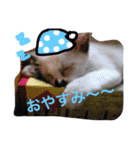 やま＆るーたん4（個別スタンプ：14）