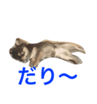 たろうぃず（個別スタンプ：1）