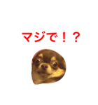 たろうぃず（個別スタンプ：2）