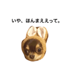 たろうぃず（個別スタンプ：3）