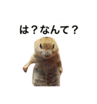 たろうぃず（個別スタンプ：4）