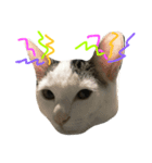 メロ♪とパト♪♪（個別スタンプ：6）