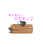 チンチラ小太郎（個別スタンプ：12）