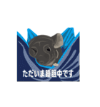 チンチラ小太郎（個別スタンプ：18）