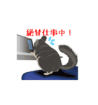 チンチラ小太郎（個別スタンプ：32）
