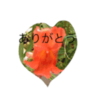 pleasegiveme your love（個別スタンプ：1）