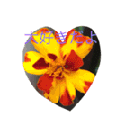 pleasegiveme your love（個別スタンプ：2）