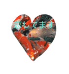 pleasegiveme your love（個別スタンプ：3）