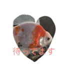 pleasegiveme your love（個別スタンプ：4）
