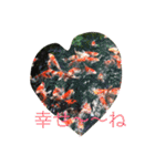 pleasegiveme your love（個別スタンプ：6）