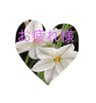 pleasegiveme your love（個別スタンプ：8）