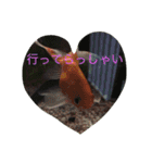 pleasegiveme your love（個別スタンプ：11）