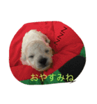 スタイルワン（個別スタンプ：1）