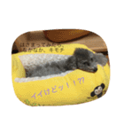スタイルワン（個別スタンプ：3）