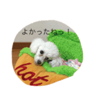 スタイルワン（個別スタンプ：12）
