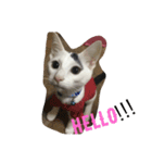 マロの日常（個別スタンプ：3）