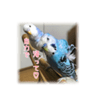 インコの森 2。（個別スタンプ：2）
