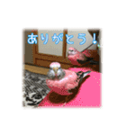 インコの森 2。（個別スタンプ：24）
