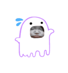 ゆいちゃんハロウィンスタンプ（個別スタンプ：4）