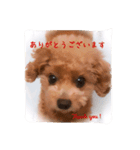 丁寧なあいさつ（個別スタンプ：1）