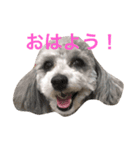 yukigomamisha（個別スタンプ：7）