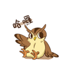 owl and penguin（個別スタンプ：1）