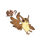 owl and penguin（個別スタンプ：2）