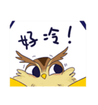 owl and penguin（個別スタンプ：28）