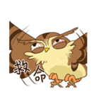 owl and penguin（個別スタンプ：33）