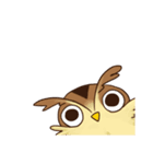 owl and penguin（個別スタンプ：34）