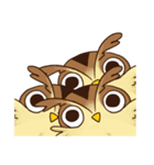 owl and penguin（個別スタンプ：36）