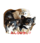 dogs＆cat.lovely（個別スタンプ：2）
