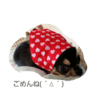 dogs＆cat.lovely（個別スタンプ：4）