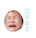 Haku Chan（個別スタンプ：1）