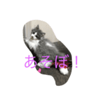 かわいいのえーる（個別スタンプ：3）