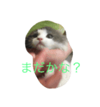 かわいいのえーる（個別スタンプ：4）