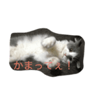 かわいいのえーる（個別スタンプ：5）