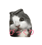 かわいいのえーる（個別スタンプ：7）