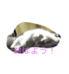 かわいいのえーる（個別スタンプ：8）