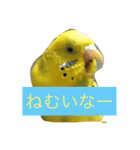 オレのとり（個別スタンプ：3）