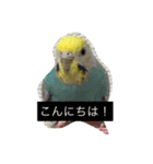 オレのとり（個別スタンプ：4）