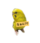 オレのとり（個別スタンプ：7）