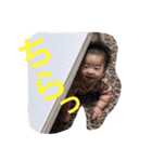 aoha2（個別スタンプ：11）