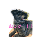 わんちゃんの1日（個別スタンプ：3）