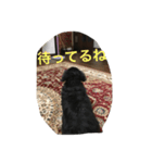 マローーーン（個別スタンプ：2）