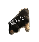 マローーーン（個別スタンプ：4）