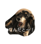 マローーーン（個別スタンプ：8）