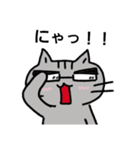 ねこのポン。（個別スタンプ：1）